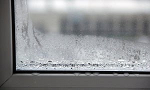 Dehumidifiers Buying Guide