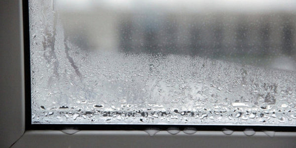 Dehumidifiers Buying Guide