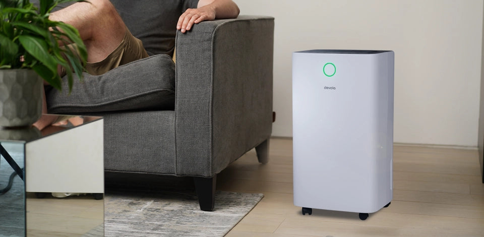 Dehumidifiers relaxing on sofa