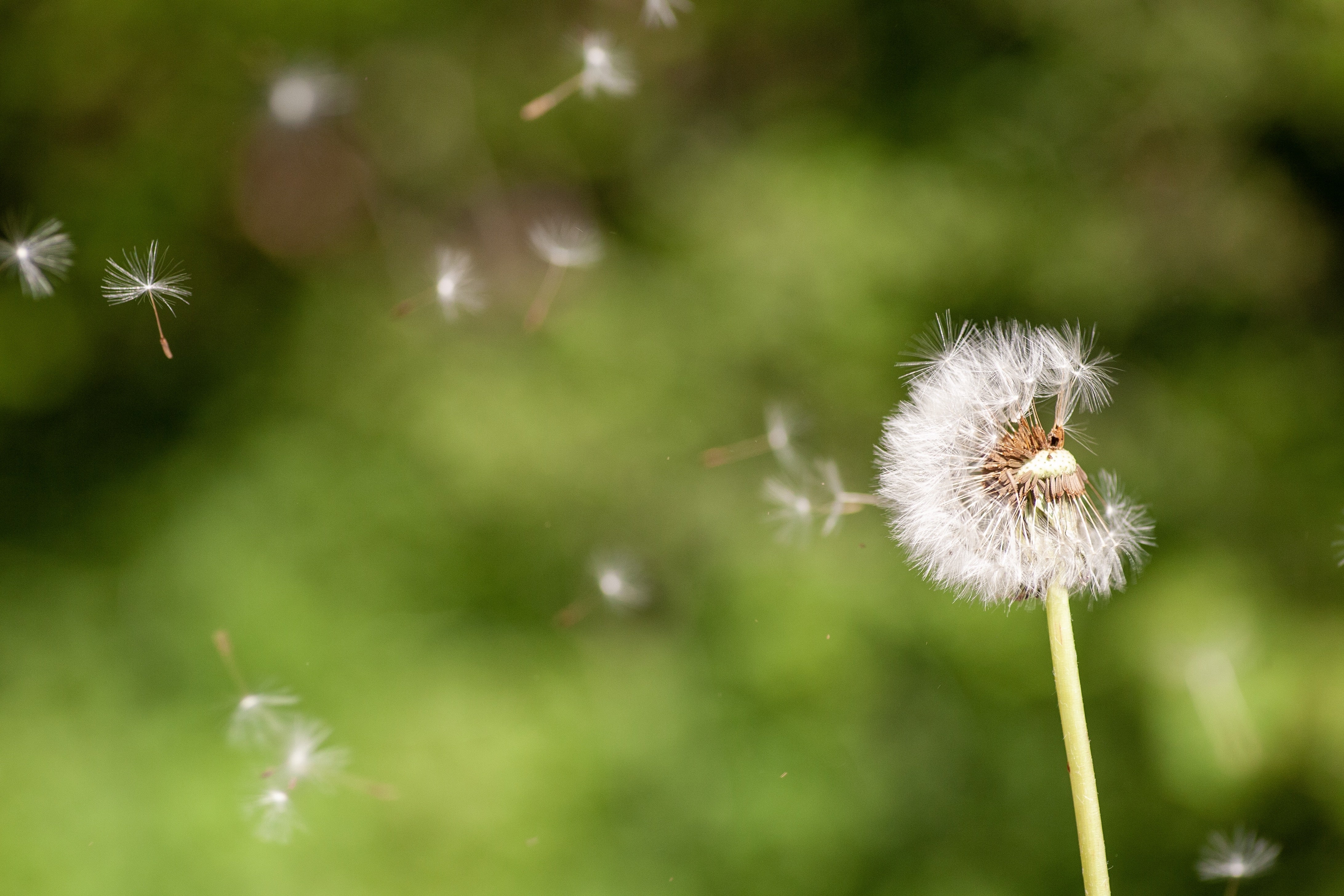 Top Tips to Minimise Seasonal Allergies