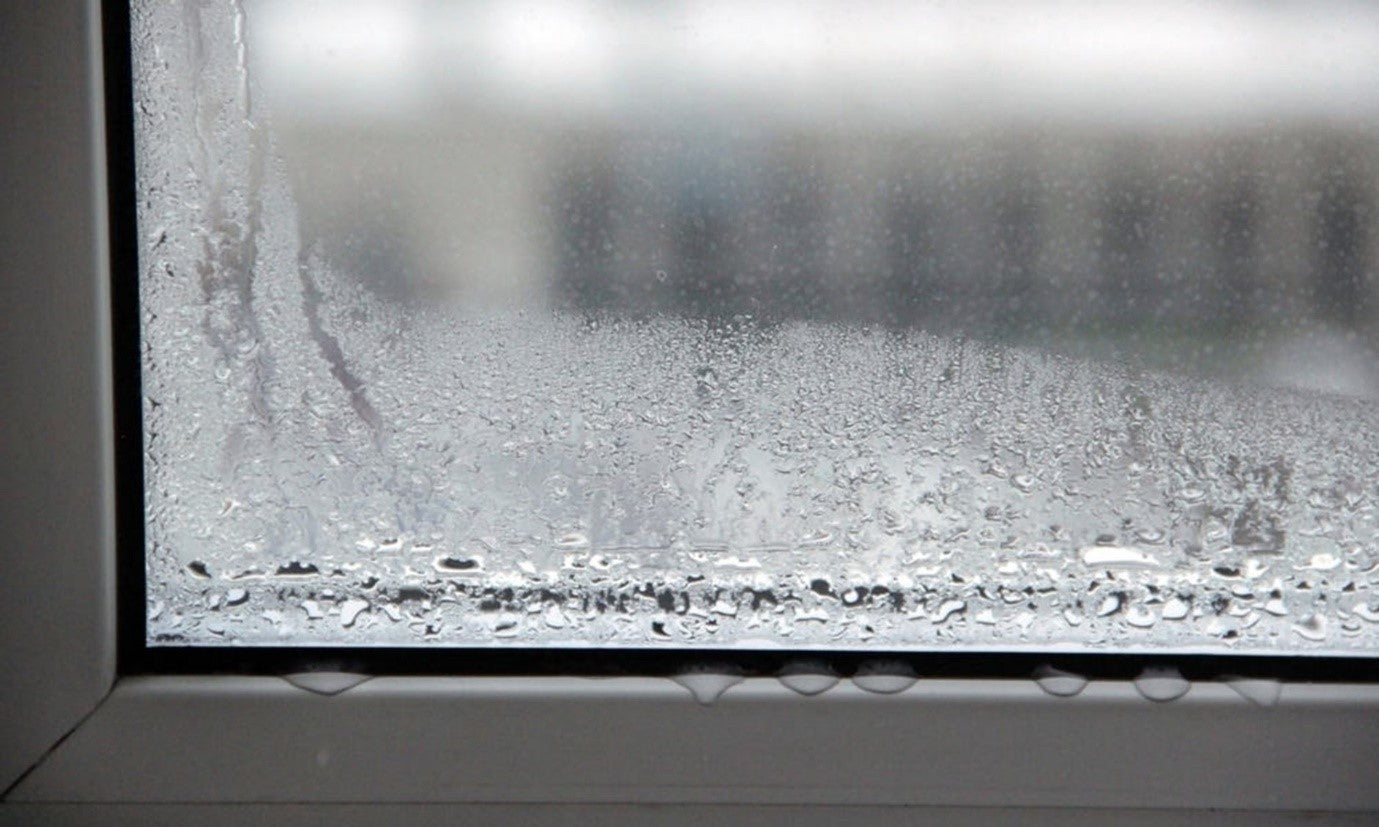 Dehumidifiers Buying Guide