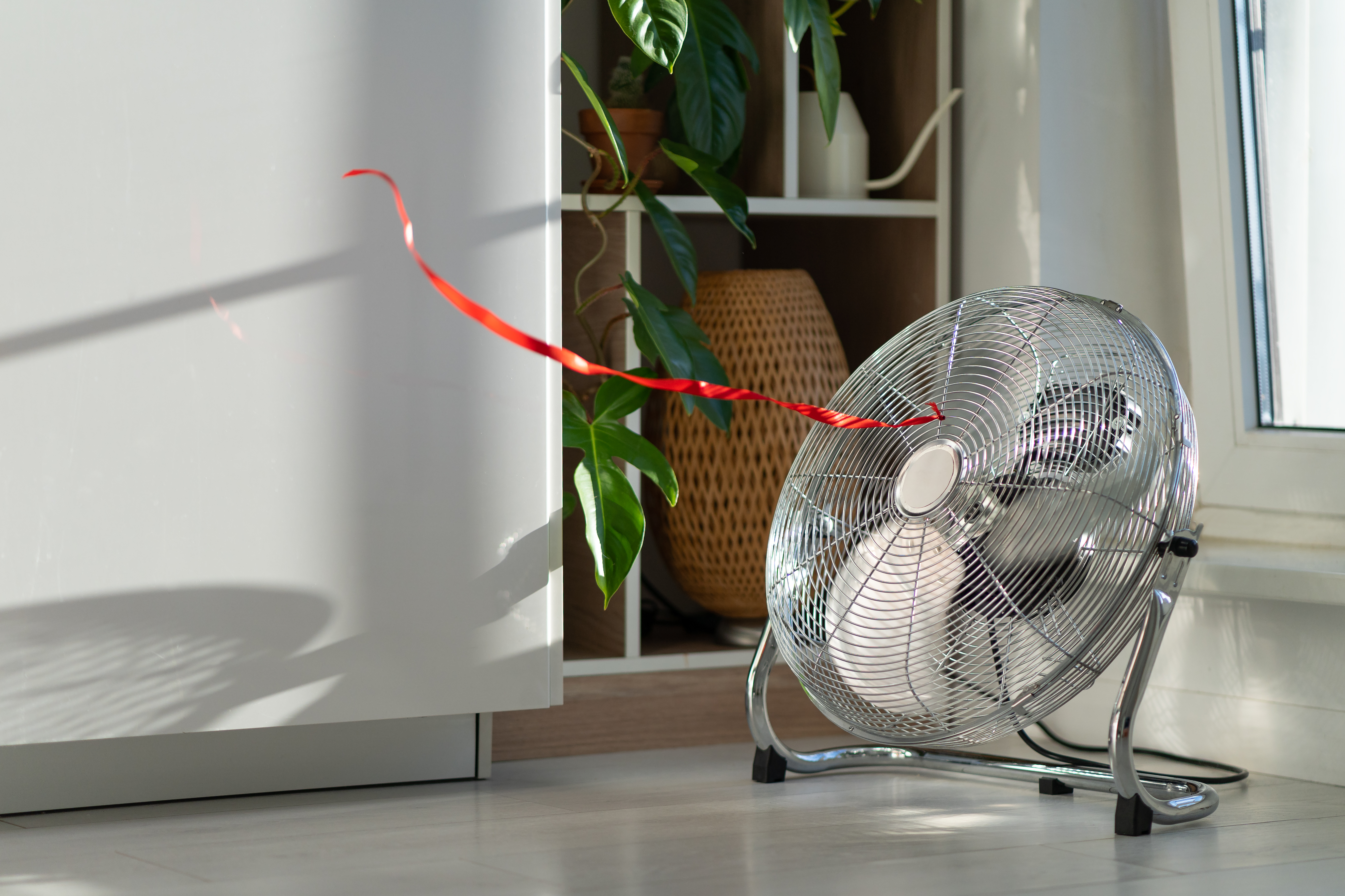 Which Type of Fan is the Most Powerful