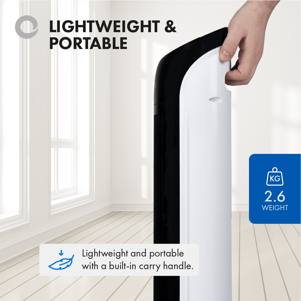 9_252Ff_252F6_252F0_252F9f60364185723547d51de6e03b9c87c063a0f6e2_06_Lightweight___Portable.png
